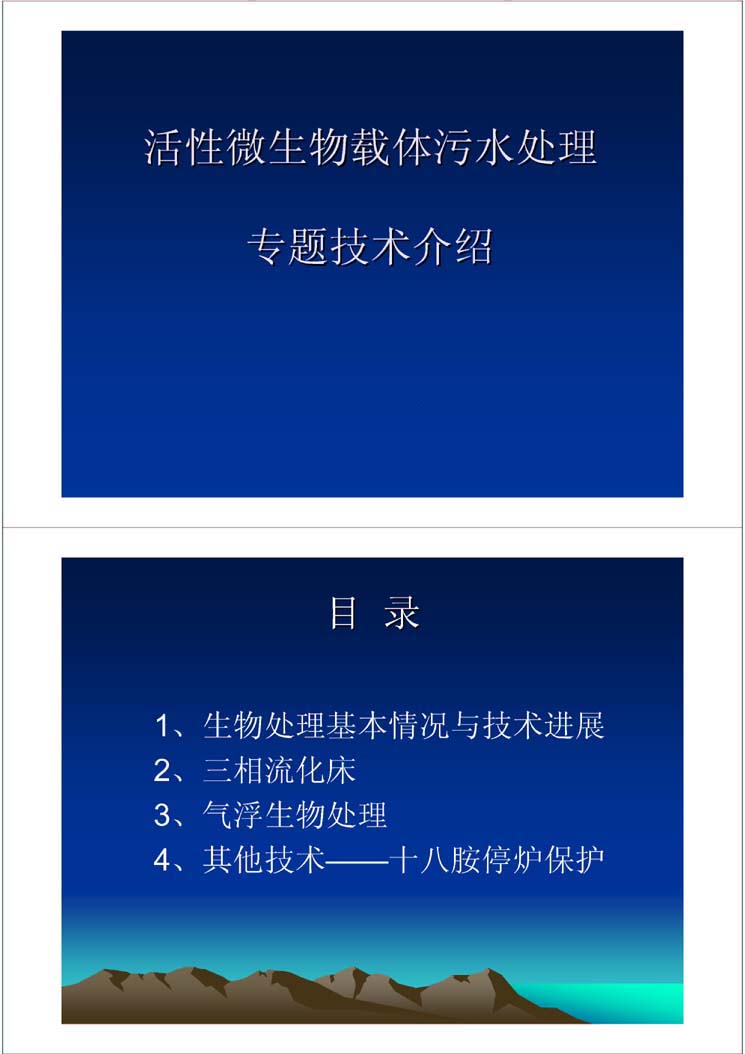 1、生物处理基本情况与技术进展2、三相流化床3、气浮生物处理4、其他技术——十八胺停炉保护